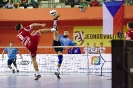 Superfinále Extraligy 2016: TJ AVIA Čakovice vs SK Karlovy Vary_30