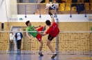 2019 - T2 Kounice