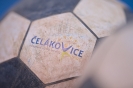 4.kolo Extraligy: TJ Spartak Čelákovice vs NK Vsetín_6
