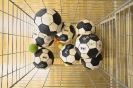 2025 - Soustředění repre U15 Modřice_24