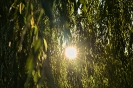 Vícedenní soustředění na Ruchadle_39